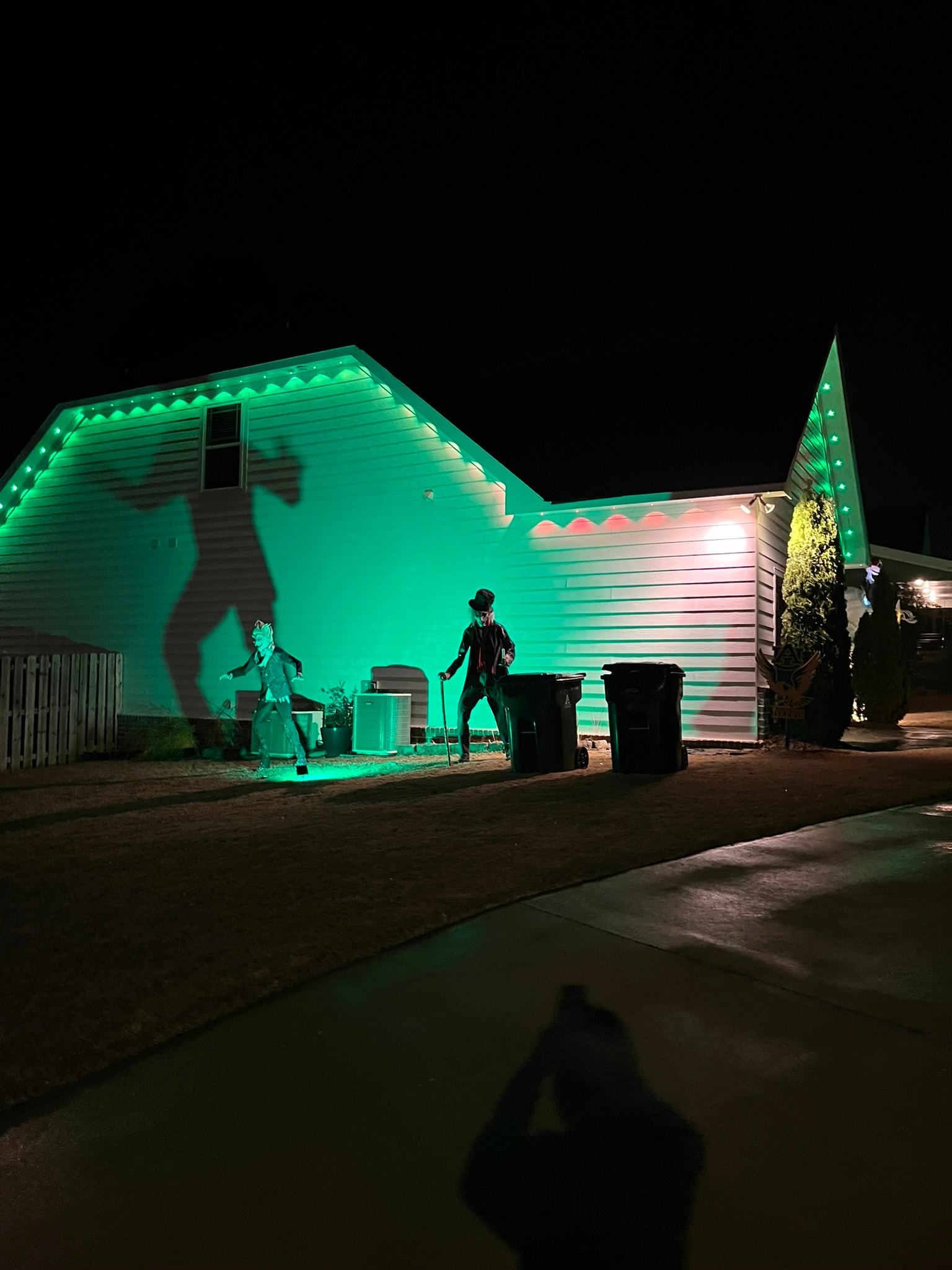 Residential holiday lighting — trees, columns, and entrance